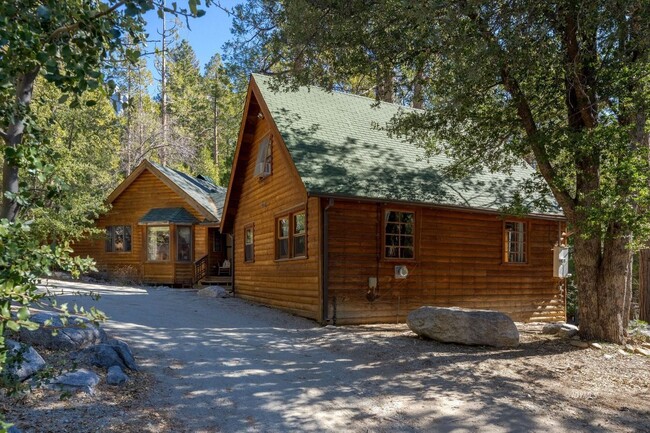 Foto del edificio - Dreamy Creekside Fern Valley Rustic Cabin