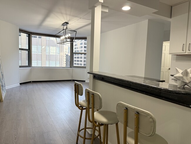 Building Photo - 535 N Michigan Ave