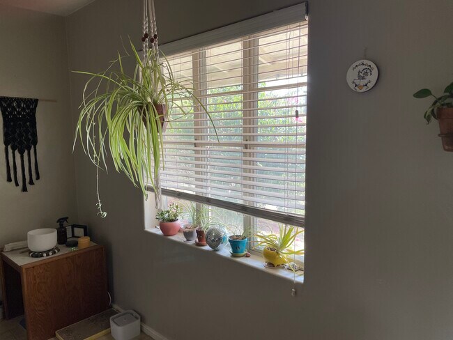 Dining room window - 3015 N 17th Ave