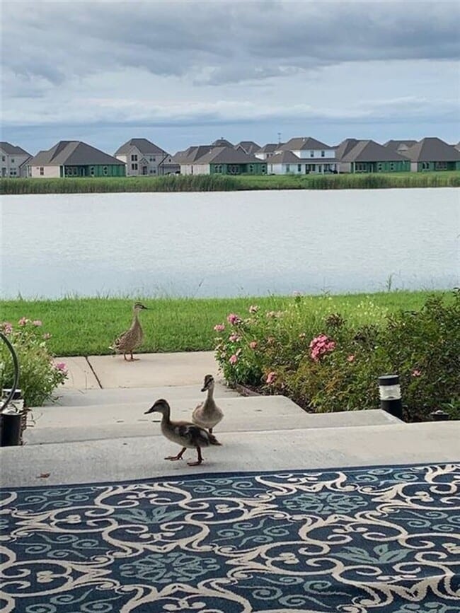 Foto del edificio - 789 Pelican Bay Dr