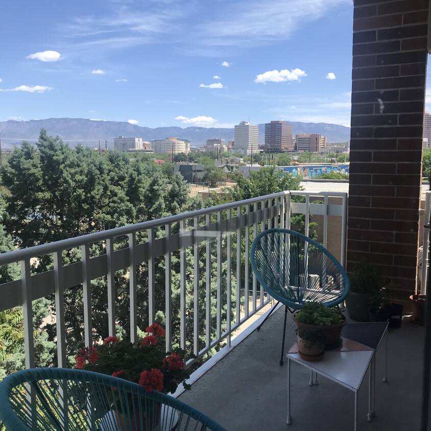 View from balcony - 1325 Park Ave SW