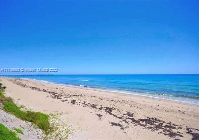 Foto del edificio - 2030 S Ocean Dr