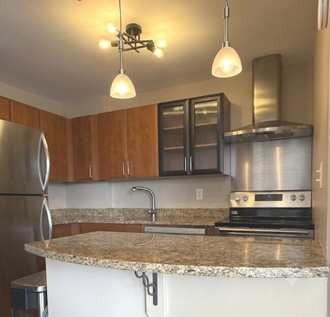 Foto del edificio - 1355 N Sandburg Terrace