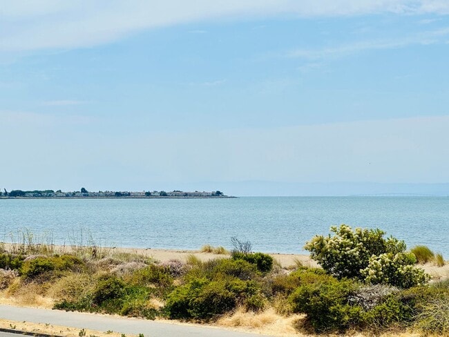 Building Photo - Incredible Luxury Beach House with Views, Steps to the Ocean in Alameda