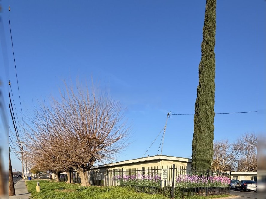 Primary Photo - Charming Studio Apartment in Atwater!