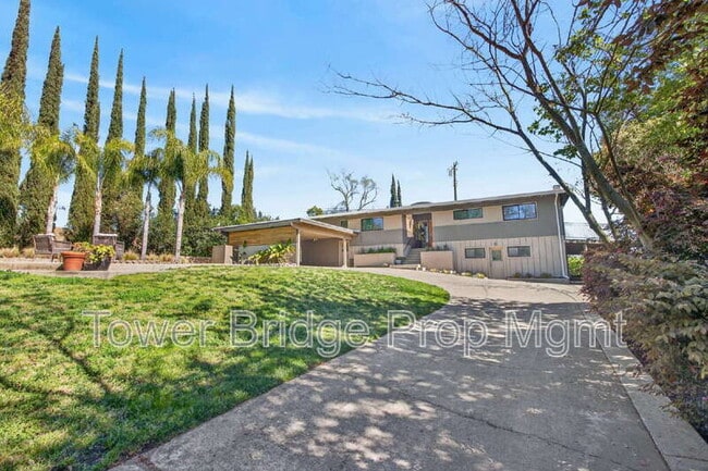 Building Photo - 3937 Orangewood Dr