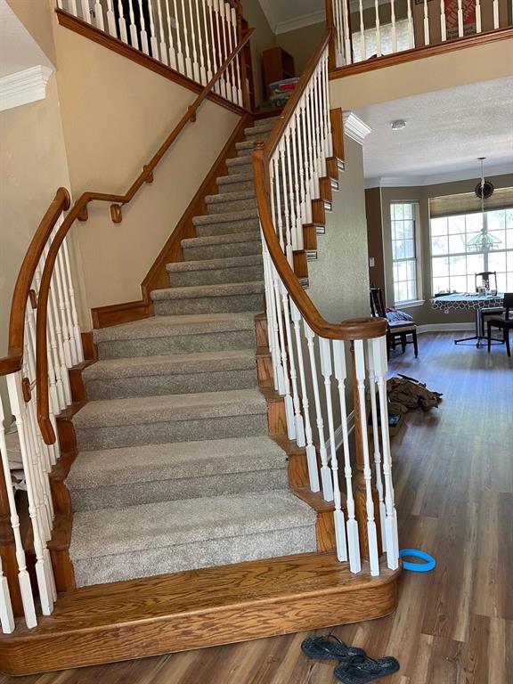 Building Photo - 8028 Bottlebrush Dr