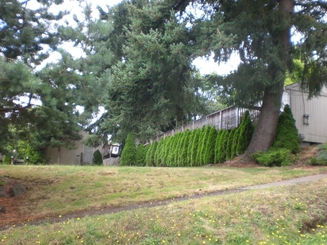 Other - Mt. View Cottages