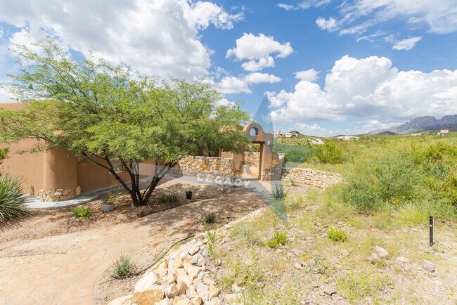 Building Photo - Spacious 4 bed 4 bath house!