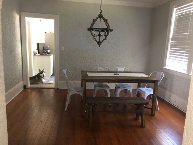 Dog is not included - 2974 Myra St