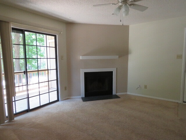 Foto del edificio - 3803 Chimney Ridge Pl