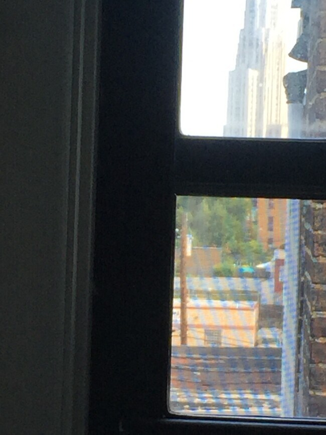 ¡Puedes ver la catedral desde la ventana! - 3313 Ward St