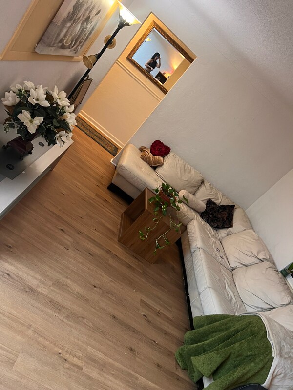 Photo - 5016 62nd St N (Kenneth City, FL)