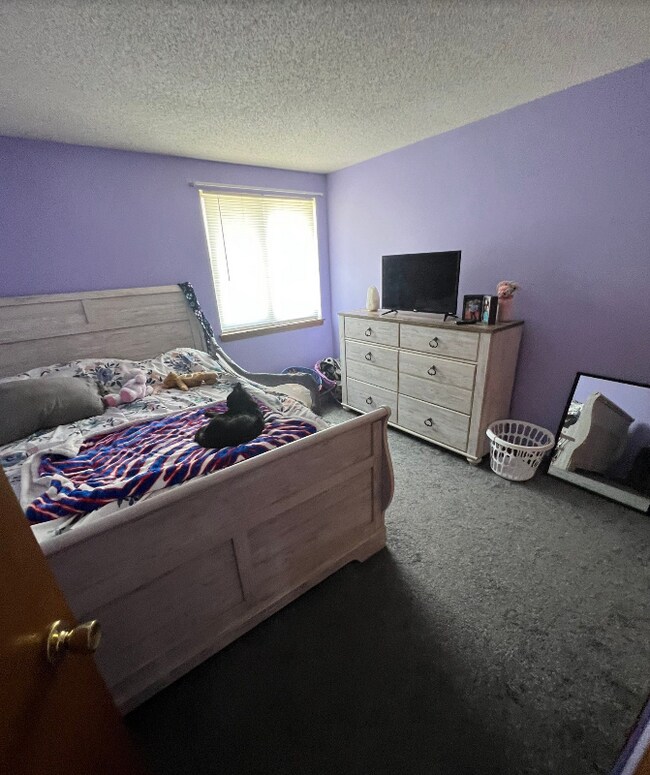 Building Photo - 2717 Oppenheim Ct