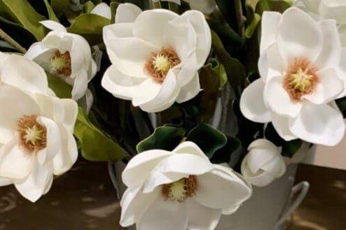 Primary Photo - Magnolias on Stinson