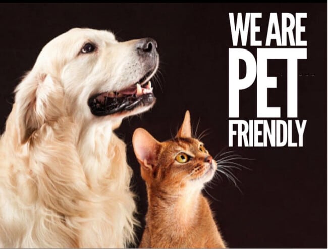 Building Photo - 5107 S Clarice Ct