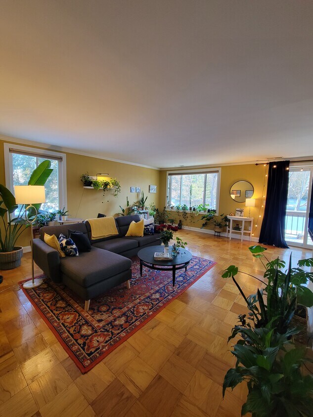 Spacious living room with large windows - 22 Cross Keys Rd