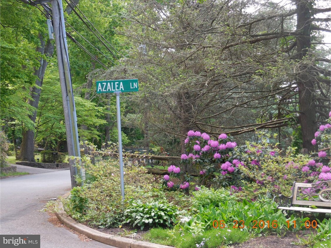Primary Photo - 8 Azalea Ln