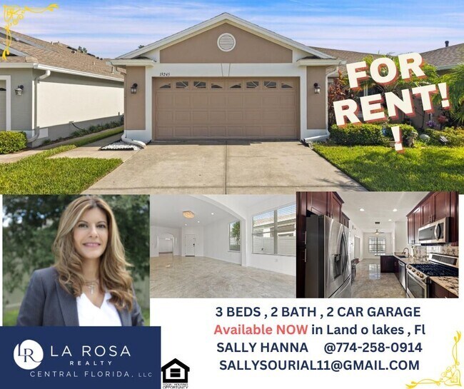 Apartments near Lutz Lake Crossing in Lutz, FL Page 12