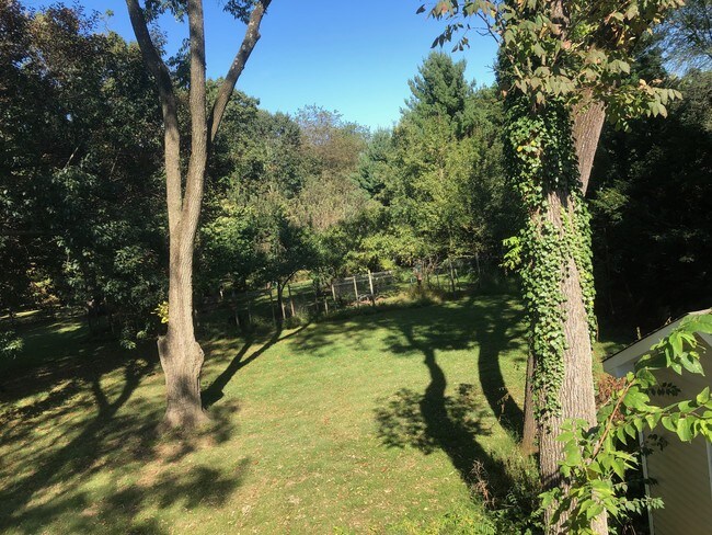view from rear deck - 102 River Dr