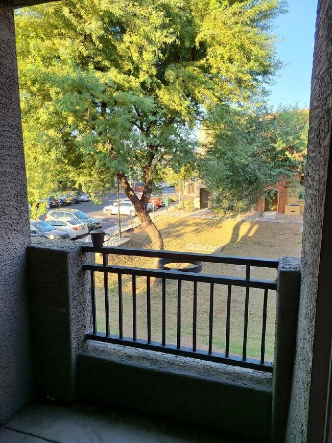 Vista de la zona verde desde el balcón. - 2401 E Rio Salado Pky