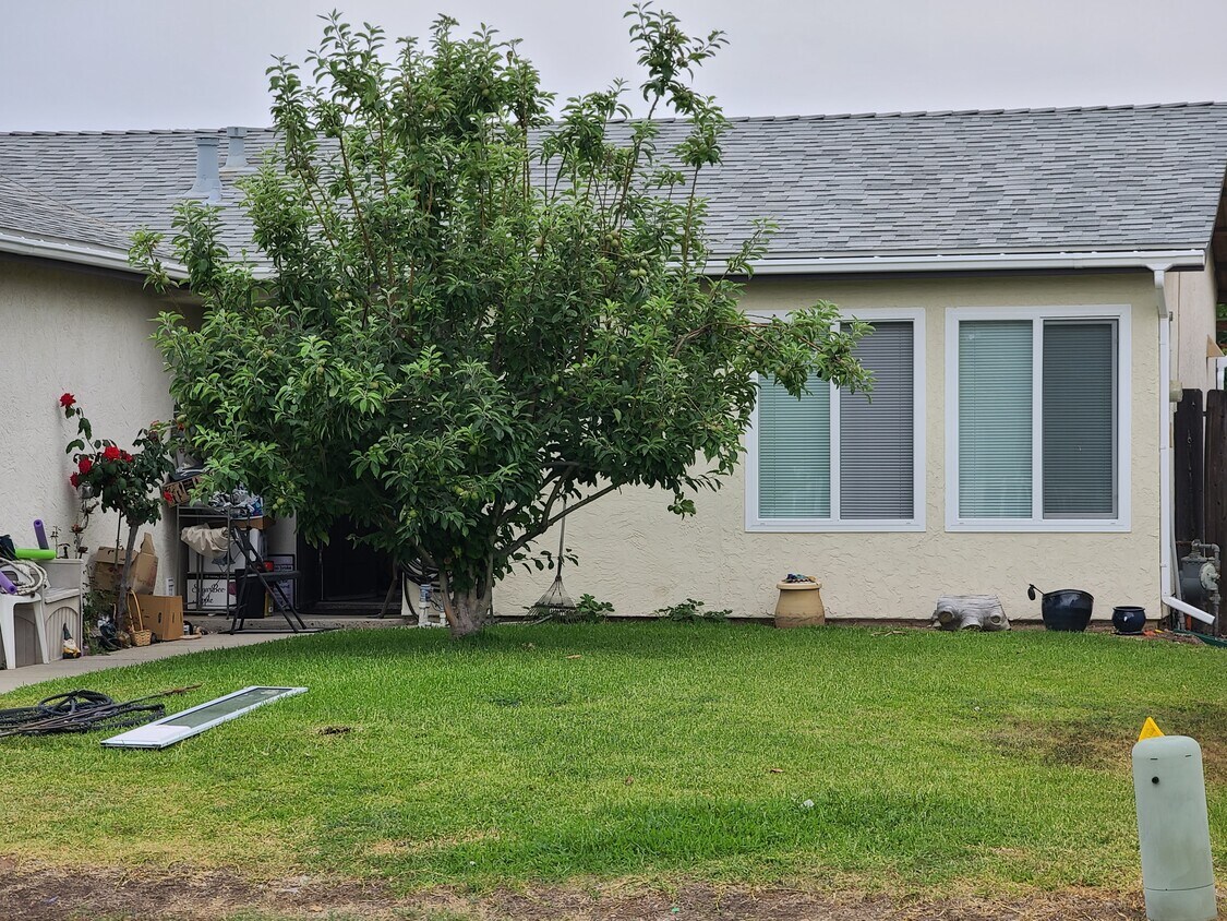 Front yard with apple tree - 10191 Eagle Rock Ave