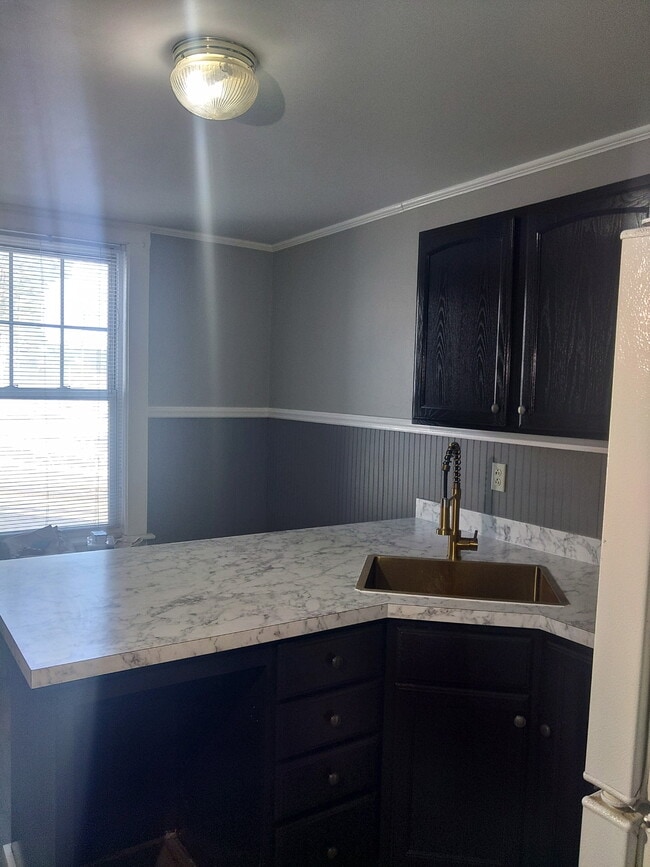 Apt 1 Kitchen shot - 9 River St