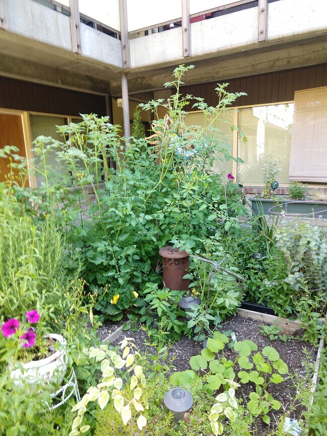 Garden - 5446 Fauntleroy Way SW