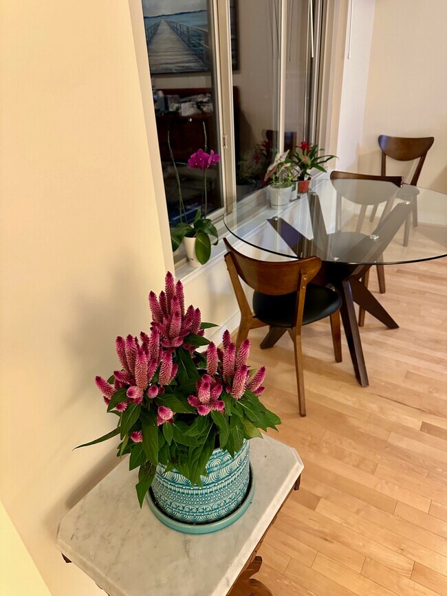 dining table - 7500 Woodmont Ave