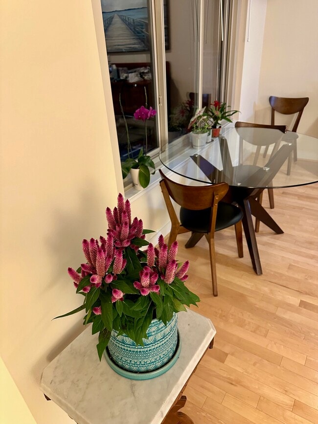 dining table - 7500 Woodmont Ave