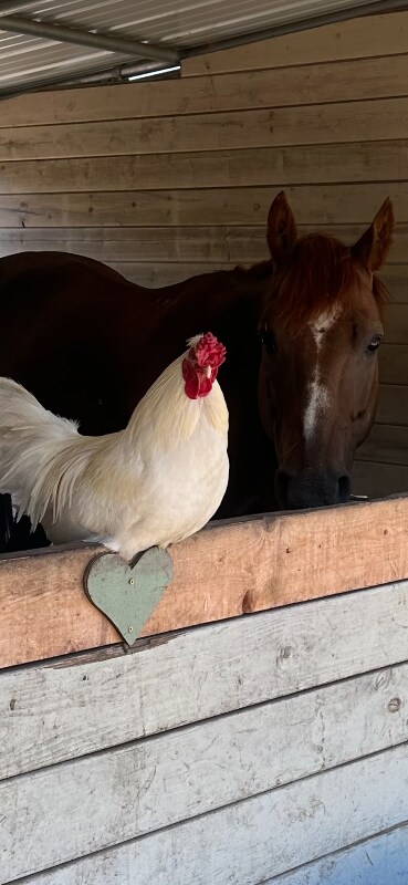 Foto del edificio - 21200 Westside Hwy SW