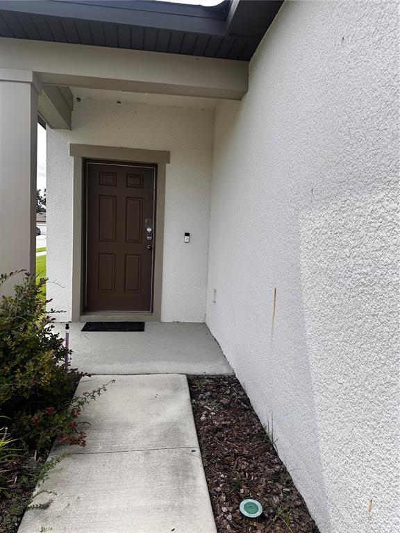 Foto del edificio - 35576 Shade Fern Ln