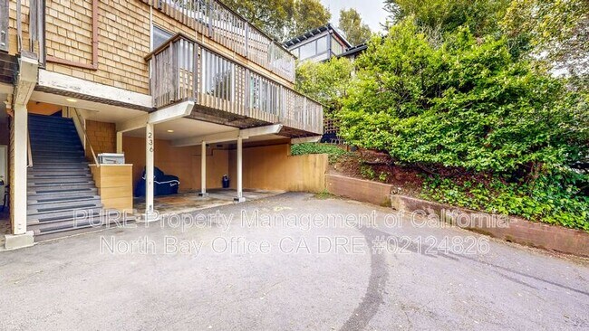 Building Photo - 236 San Carlos Ave