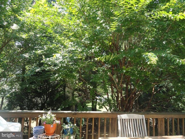 Foto del edificio - 2050 Meadow Springs Dr