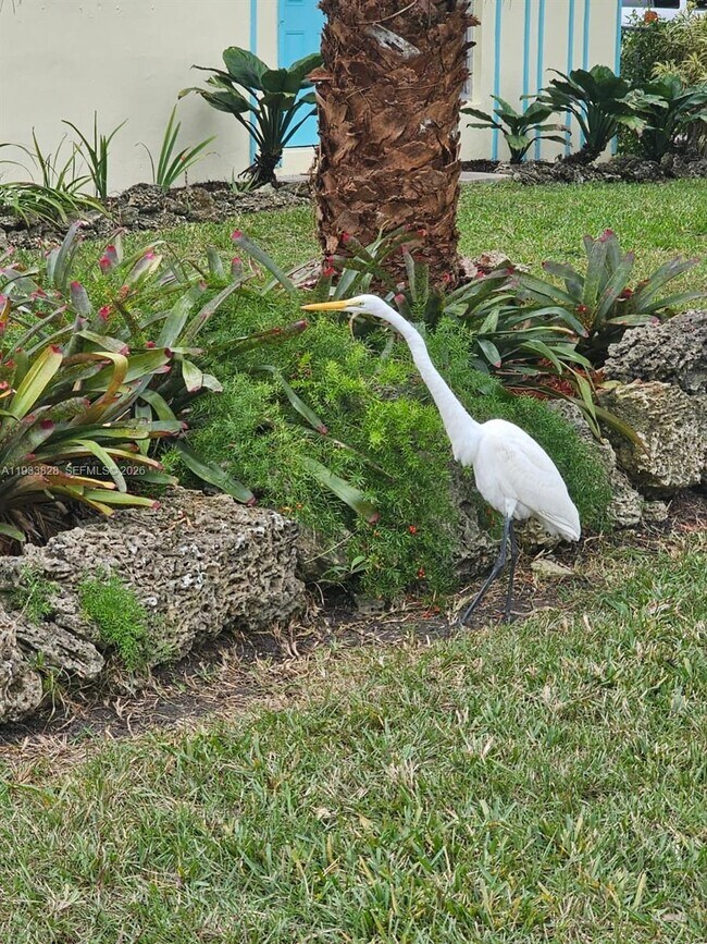 Foto del edificio - 9360 SW 168th St