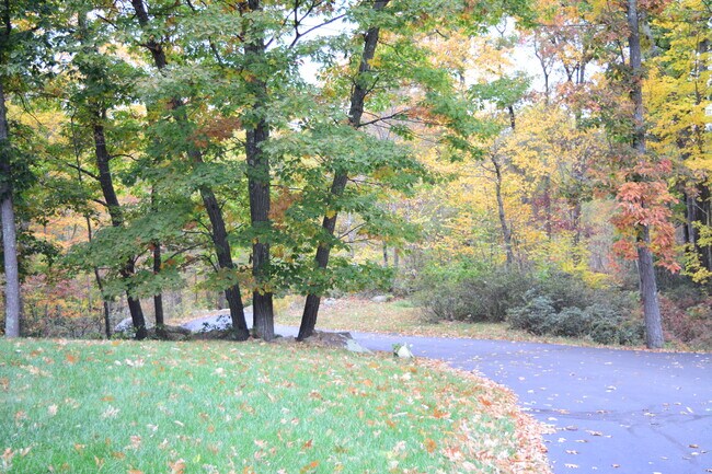 Foto del edificio - 9 Mountain Laurel Ln