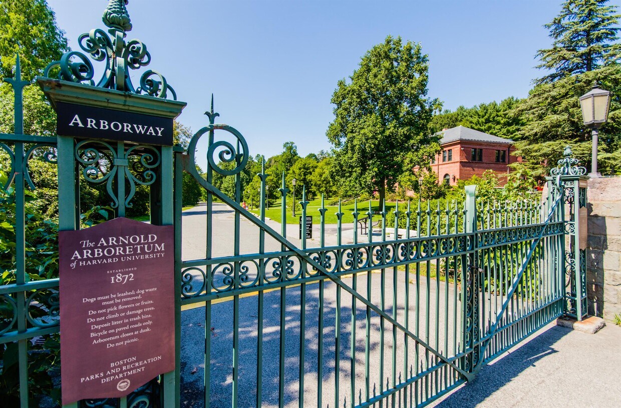 23 Boynton St Unit 2, Boston, MA 02130 Room for Rent in Boston