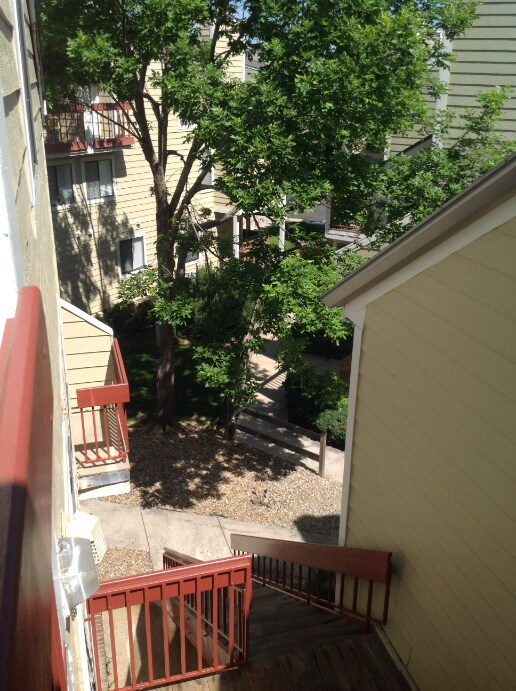 Primary Photo - Charming Studio Home in City Center Aurora!