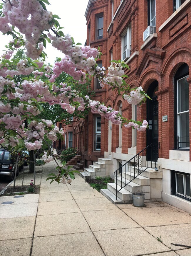 Building Photo - 1809 Bolton St