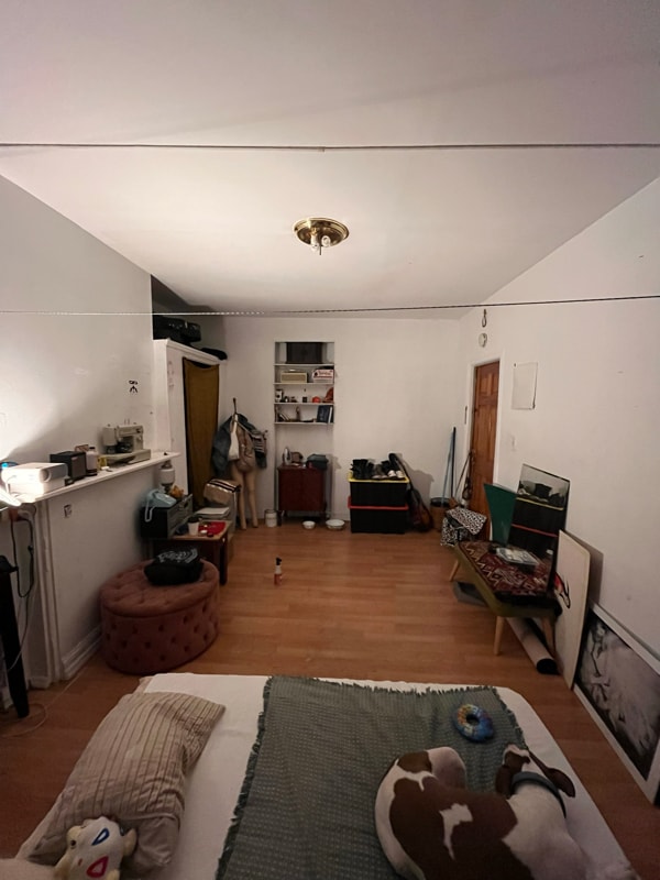 Photo - 19 Cornelia St Apartment