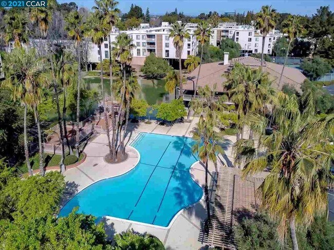 Piscina principal - 460 N Civic Dr