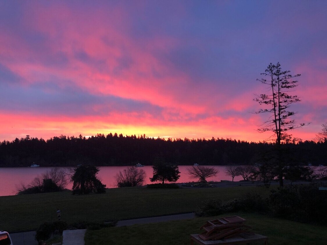 Foto principal - 4915 Lake Washington Blvd S