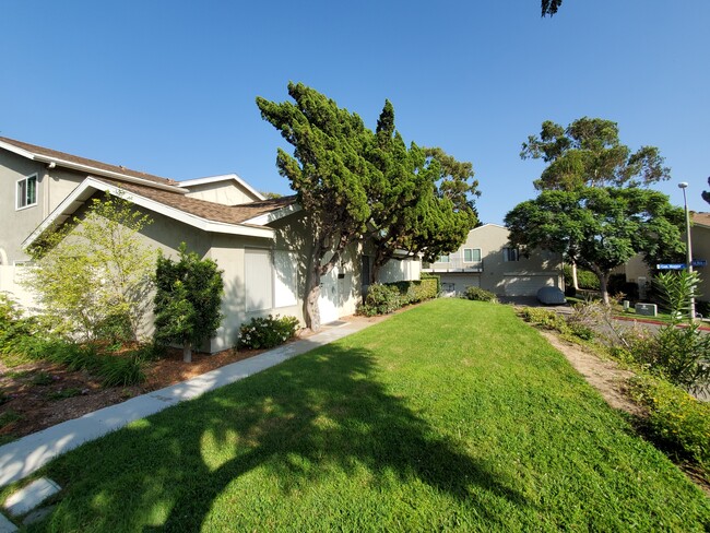 Lawn out front that the HOA maintains! - 7844 Camino Huerta