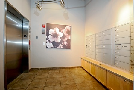 Building Photo - Saxe Apartments - Studio + extra room