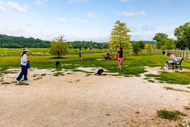 Platte Landing Dog Park is a popular spot for pups and their owner in Parkville.