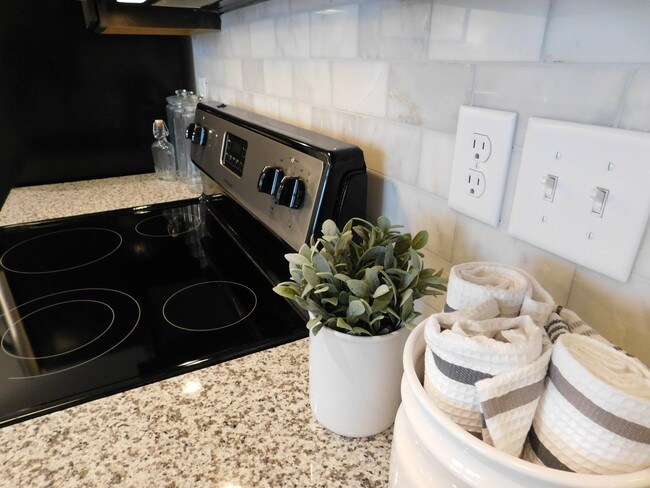 Rhine Loft, cocina con horno y placa para salpicaduras Carerra - Newberry Lofts on 6th