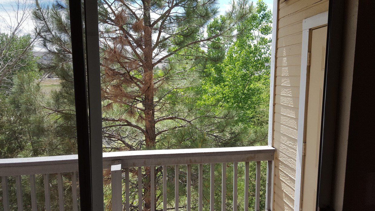 1243 Gilbert St, Castle Rock, CO 80104 Condo for Rent in Castle Rock