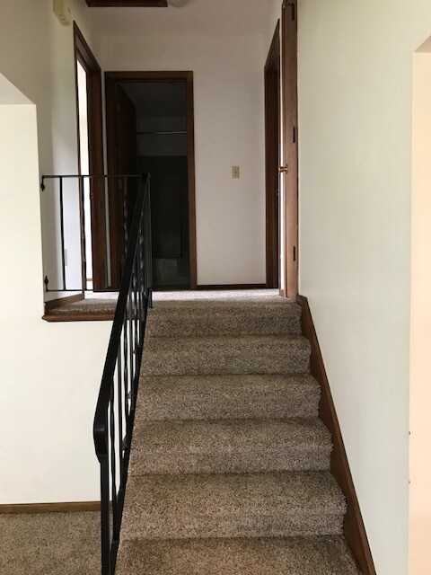 Building Photo - 1291 Frank Dr