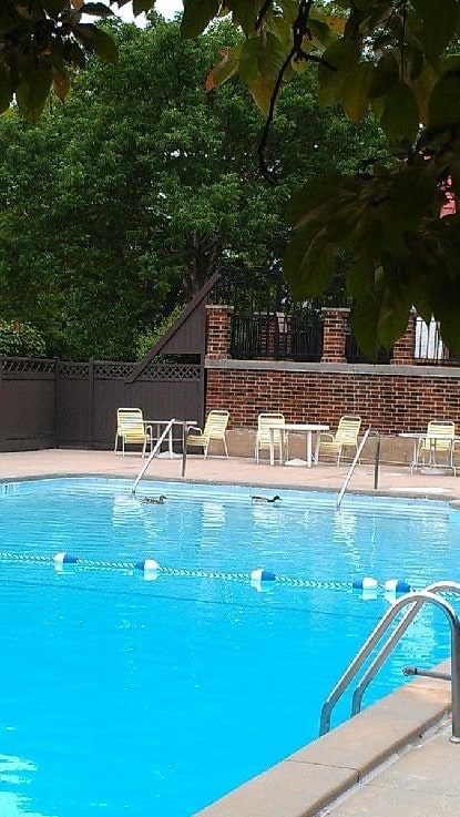 Building Photo - 475 Plum Creek Dr