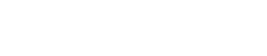 Asset Plus Companies